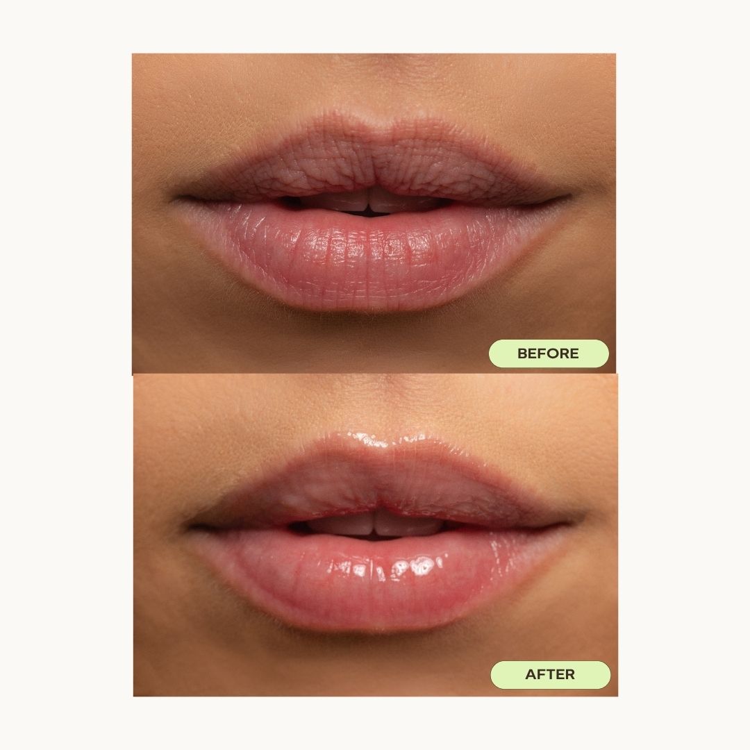 Original Lip Balm