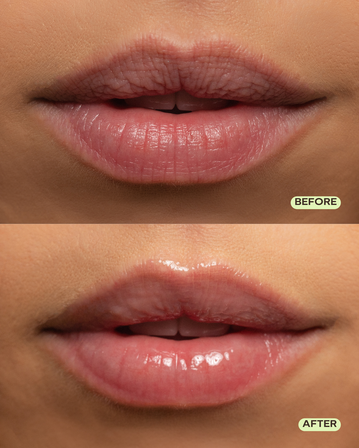 Original Lip Balm
